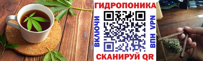 Canna-Cookies марихуана  Краснослободск 