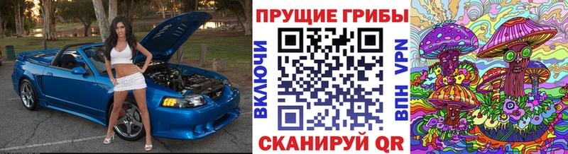 Галлюциногенные грибы Magic Shrooms  Краснослободск 